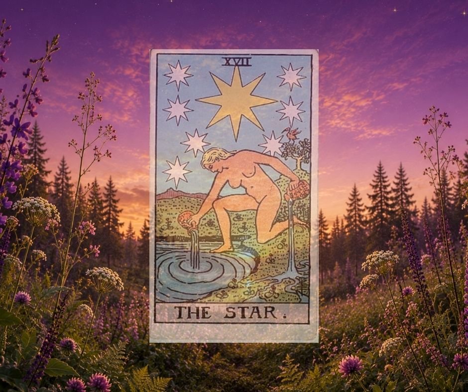 Täht tarokaart / The Star tarot card – Kuutaro